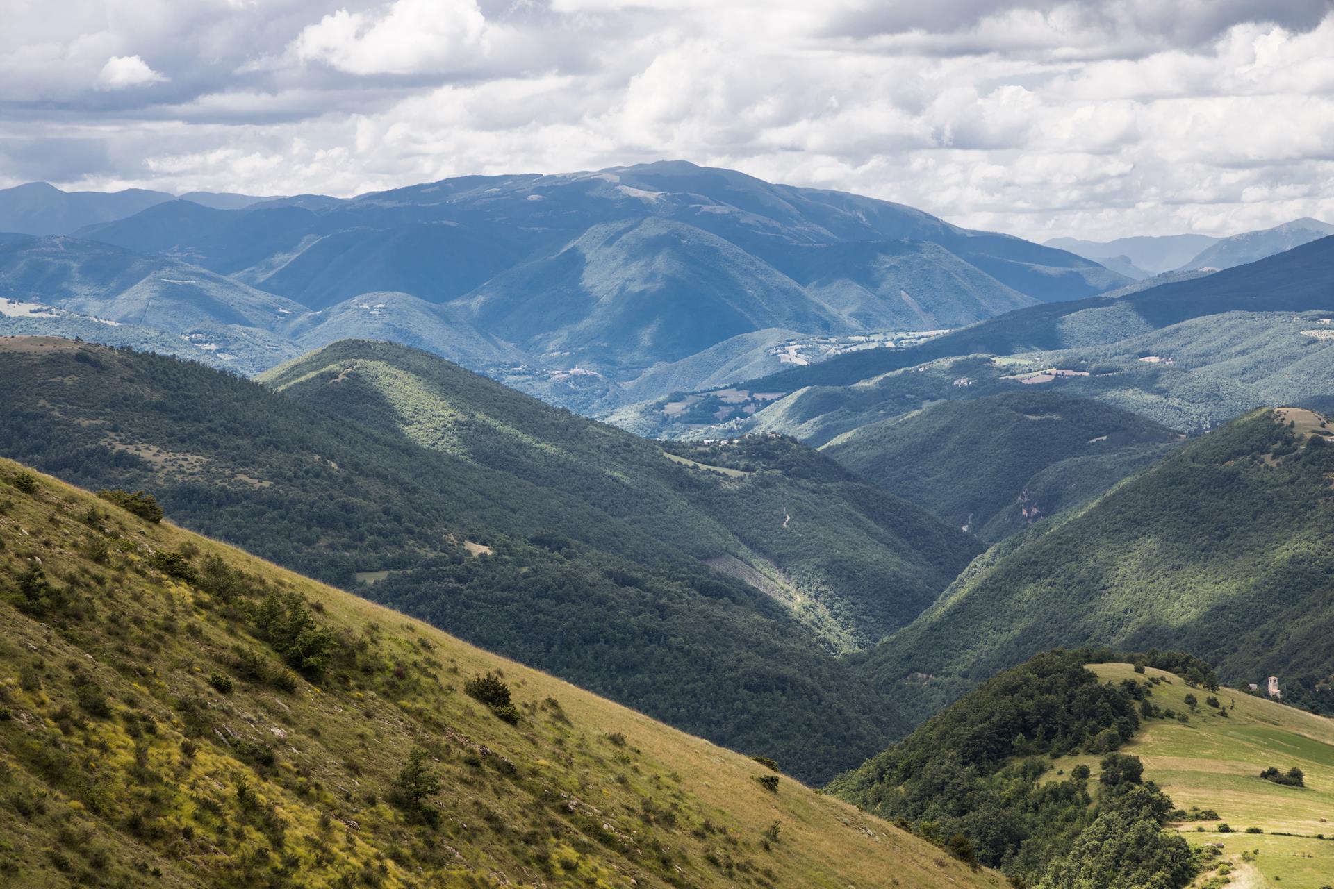 contatti azienda agricola colfiorito terre fiorite